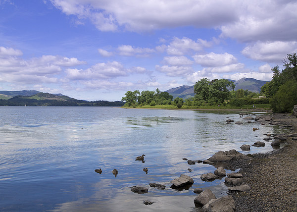 The picturesque lake District.  Picture Board by chris smith