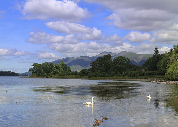 The picturesque lake District. Picture Board by chris smith