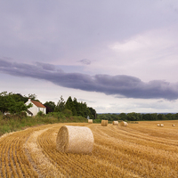 Buy canvas prints of Straw bales   by chris smith