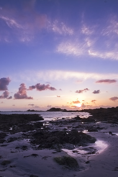 Guernsey sunset  Picture Board by chris smith