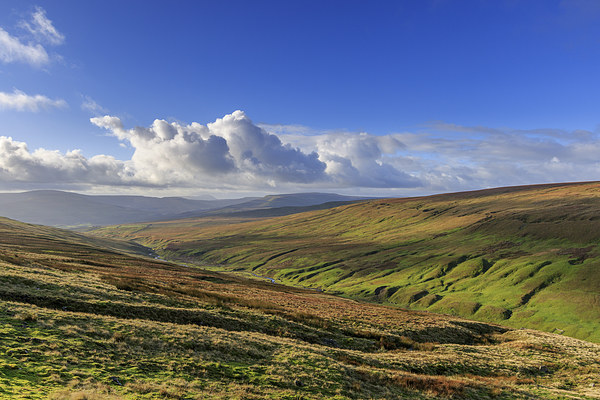 Yorkshire dales             Picture Board by chris smith