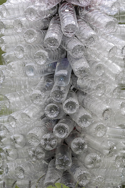 Plastic bottles  Picture Board by chris smith