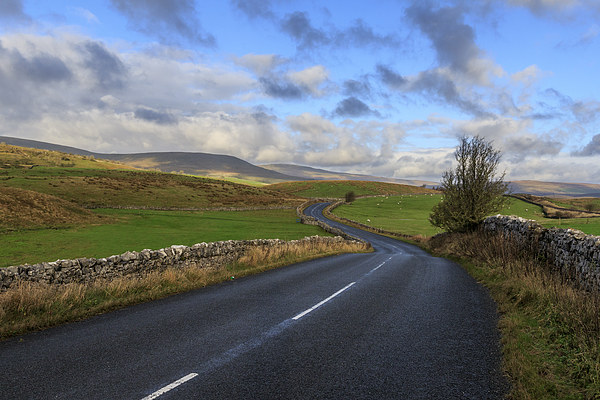 Yorkshire Dales  Picture Board by chris smith