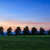 Buy canvas prints of Golf course sunset  by chris smith