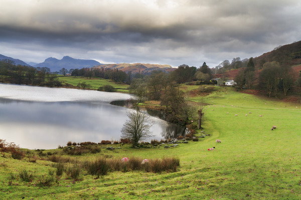 loughrigg tarn           Picture Board by chris smith