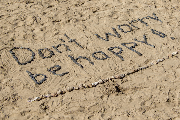 Don't Worry Be Happy        Picture Board by chris smith