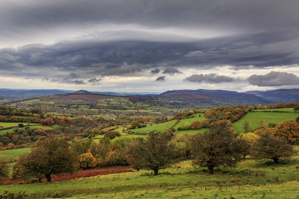 Stormy autumn day in wales       Picture Board by chris smith