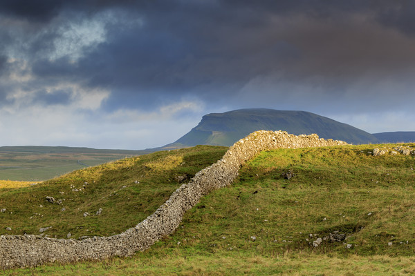 Yorkshire Dales  Picture Board by chris smith