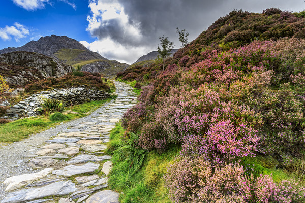 Snowdonia national park  Picture Board by chris smith