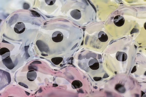 Abstract Frogspawn          Picture Board by chris smith