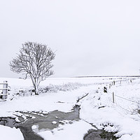 Buy canvas prints of Yorkshire Snowfall  by chris smith