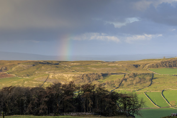 Rainbow in the Yorkshire Dales  Picture Board by chris smith