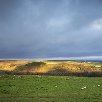 Buy canvas prints of Yorkshire farming  by chris smith