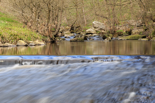 Stream motion blur  Picture Board by chris smith
