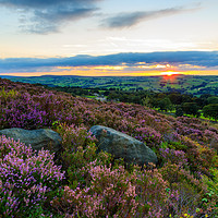 Buy canvas prints of Heather in bloom at sunset  by chris smith