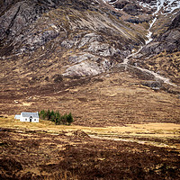 Buy canvas prints of white cottage  by chris smith