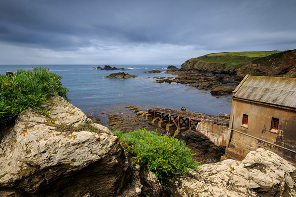 Lizard Point   Picture Board by chris smith