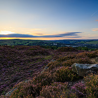 Buy canvas prints of Heather in bloom  by chris smith