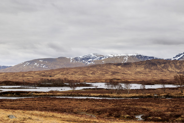 Rannoch Moor   Picture Board by chris smith