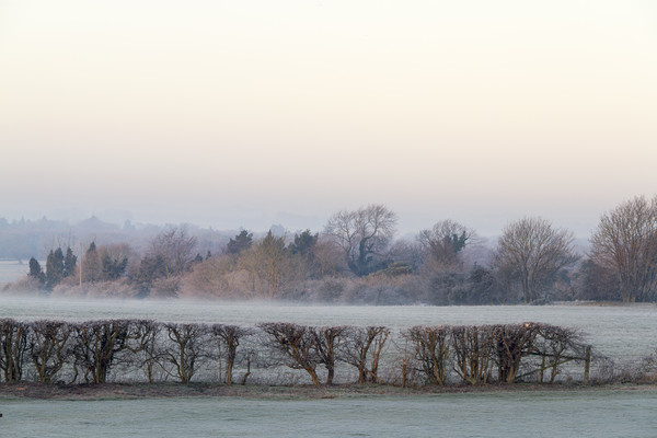 Cold and frosty morning  Picture Board by chris smith