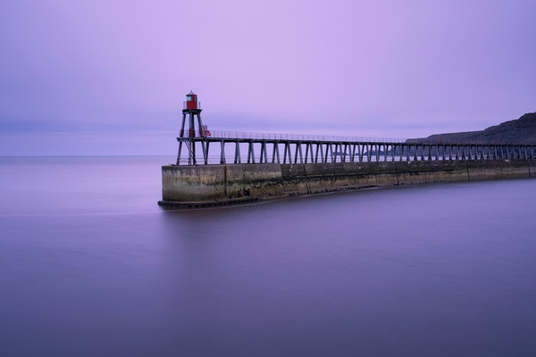Whitby Pier                   Picture Board by chris smith