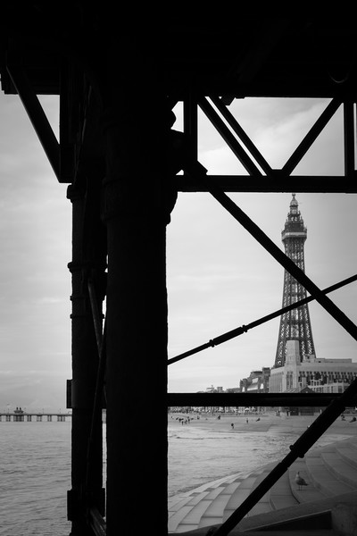 Blackpool Tower    Picture Board by chris smith