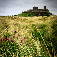 Buy canvas prints of Bamburgh Castle  by chris smith