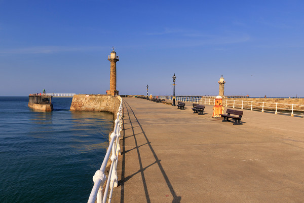 Whitby Pier    Picture Board by chris smith