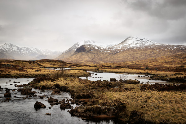 Rannoch Moor   Picture Board by chris smith