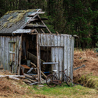 Buy canvas prints of Abandoned shed  by chris smith