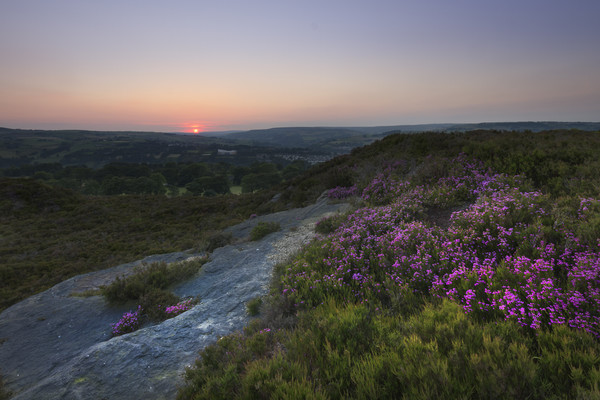Norland moor sunset     Picture Board by chris smith