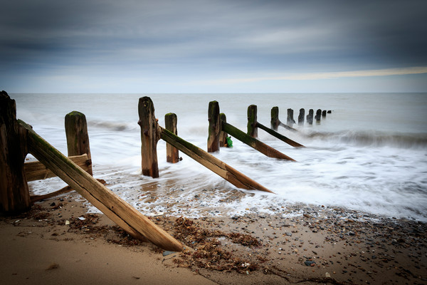  Wooden groynes  Picture Board by chris smith