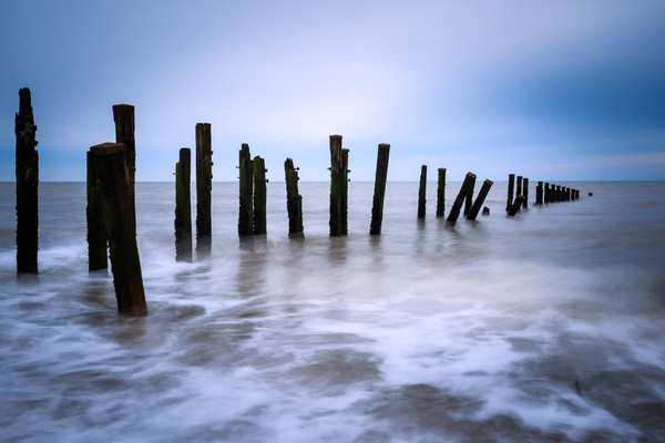 Wooden groynes  Picture Board by chris smith