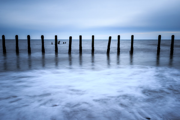 Wooden groynes  Picture Board by chris smith