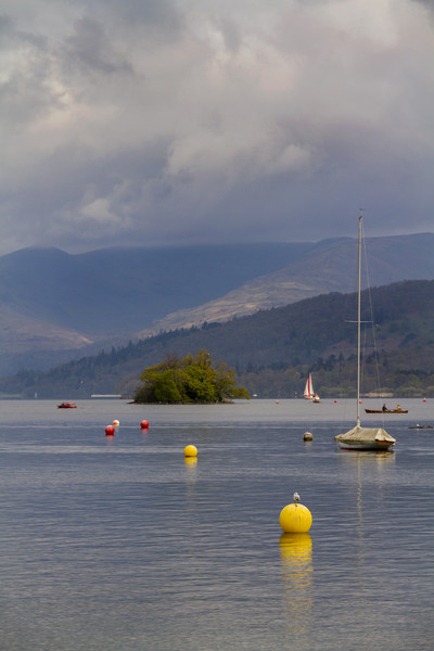 Lake Windermere  Picture Board by chris smith