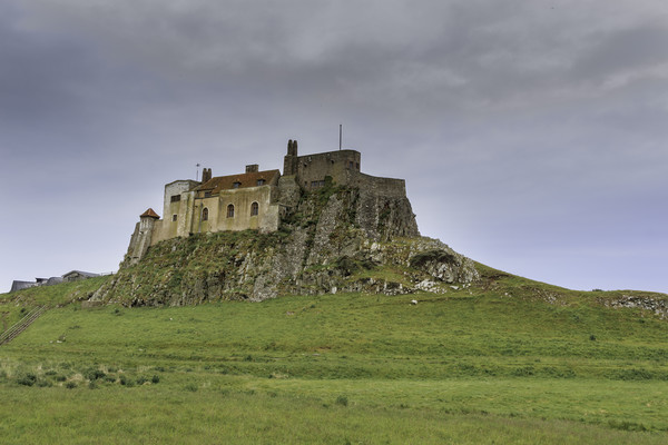 Lindisfarne Castle, holy island  Picture Board by chris smith