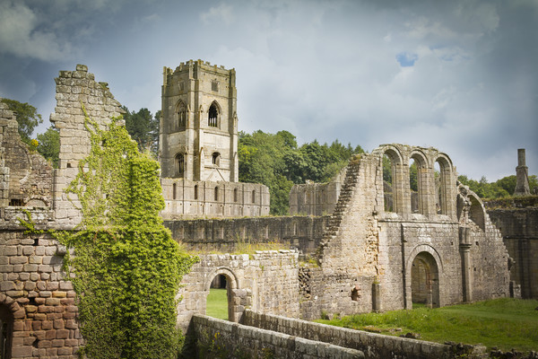 Fountains Abbey  Picture Board by chris smith