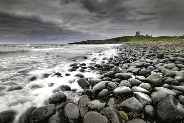 Dunstanburgh Castle   Picture Board by chris smith
