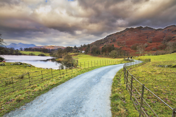 country lane in the lakes  Picture Board by chris smith