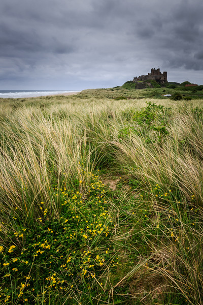 Bamburgh Castle  Picture Board by chris smith