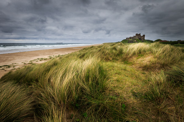 Bamburgh Castle  Picture Board by chris smith