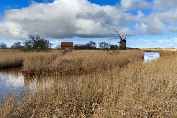 Brograve mill windpump   Picture Board by chris smith