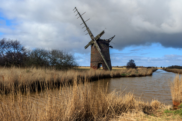 Brograve mill windpump   Picture Board by chris smith