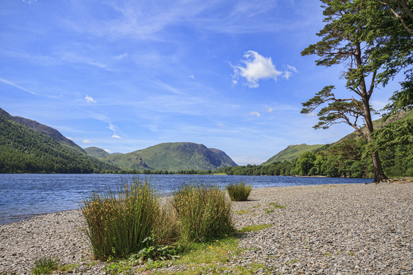 Buttermere Lake District  Picture Board by chris smith