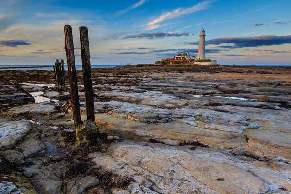 st marys lighthouse               Picture Board by chris smith