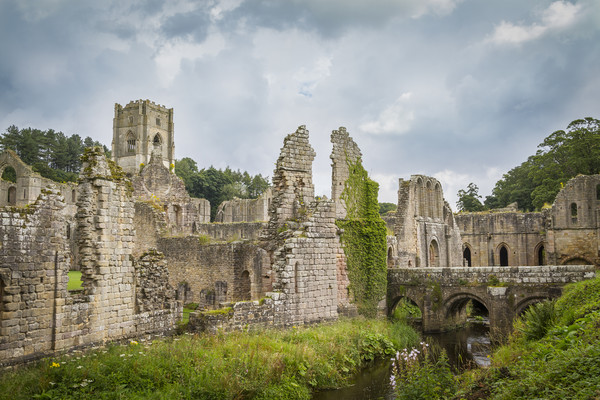 Fountains Abbey  Picture Board by chris smith
