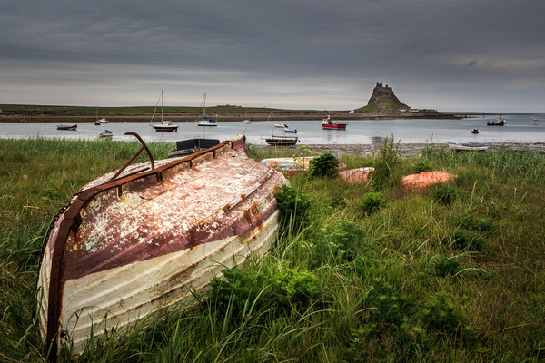 Lindisfarne Castle, holy island   Picture Board by chris smith