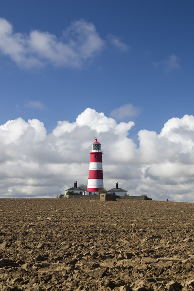 Happisburgh Lighthouse  Picture Board by chris smith