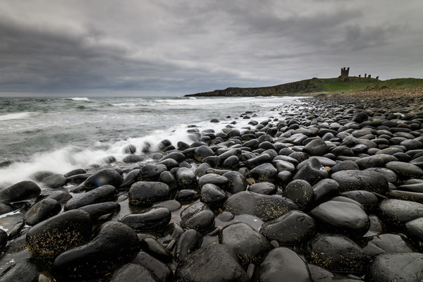 Dunstanburgh Castle   Picture Board by chris smith