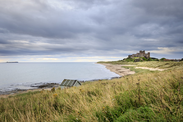 Bamburgh castle   Picture Board by chris smith